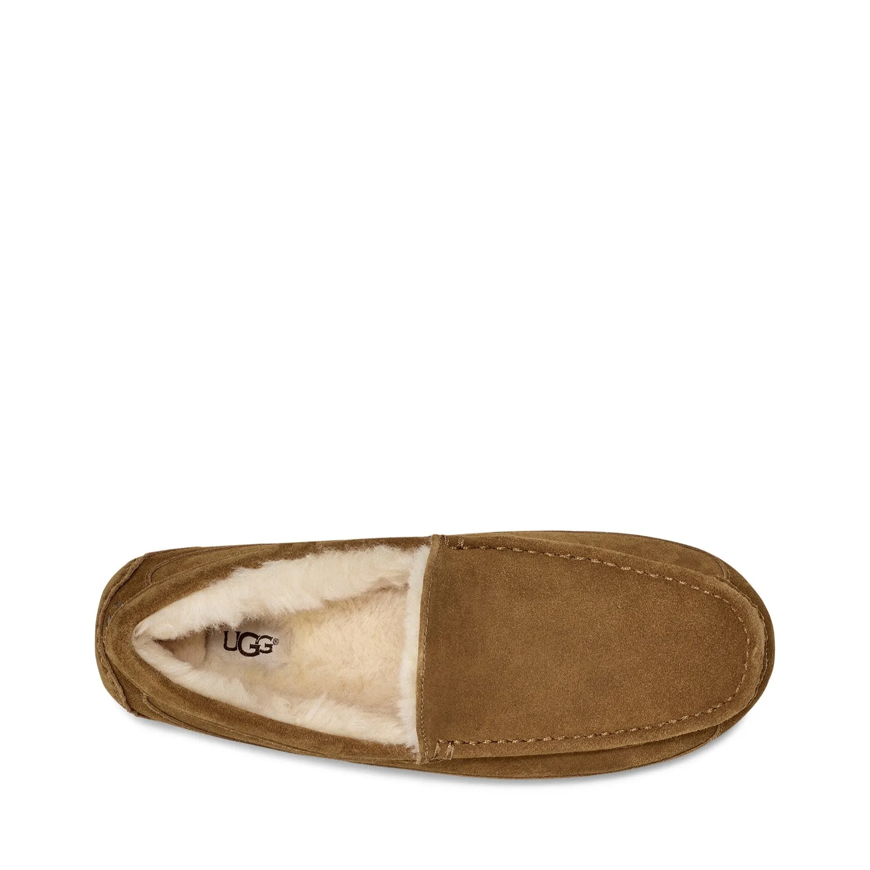 Men's UGG Ascot Wide Slippers | more colors available